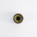 14372_3.jpg - [c32d85ae5de2e433aa025e1bac7703021f4ca5d9]