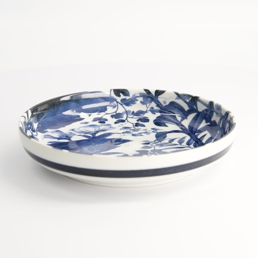 [21508] Wa Mixed Bowls Pasta Plate Frog 20x4.1cm 21508 4/32