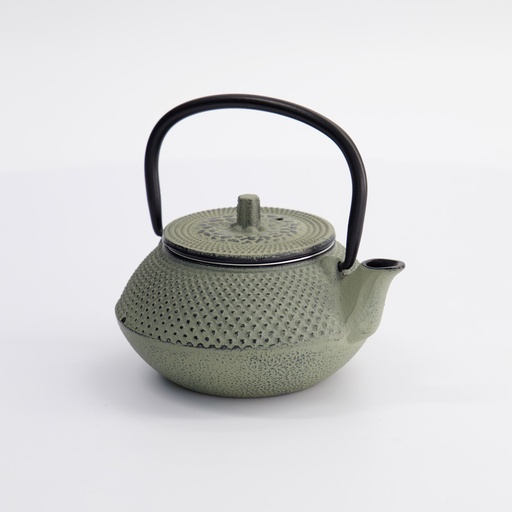 [4241] WY Tea Kettle Iron 13.5x11.5x8.5cm Arare 0.25L GREEN/GREY 1/12
