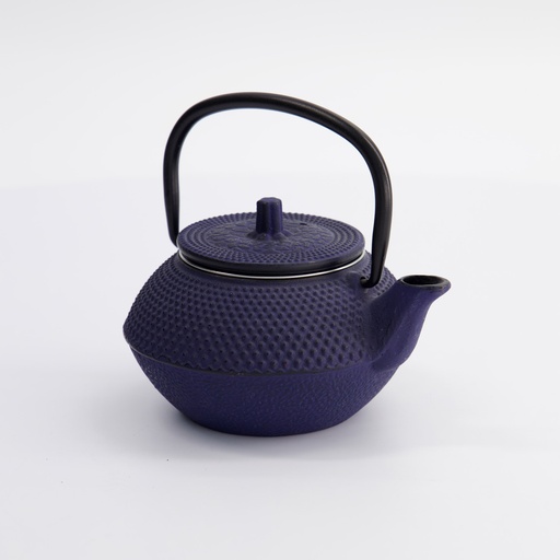 [4243] WY Tea Kettle Iron 13.5x11.5x8.5cm Arare 0.25L BLUE 1/12