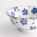 Mixed Bowls Ramen 19x8cm Hana Chirashi 21595 4/40