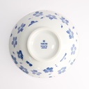 Mixed Bowls Ramen 19x8cm Hana Chirashi 21595 4/40