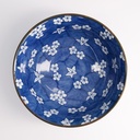 Mixed Bowls Ramen 19x8cm Sakura Momiji 21596 4/40