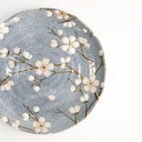 Fujisakura Plate 16.5x2cm Gray 22591 12/96