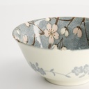 Fujisakura Tayo Bowl 15.2x6.7cm 500ml Gray 22589 6/48