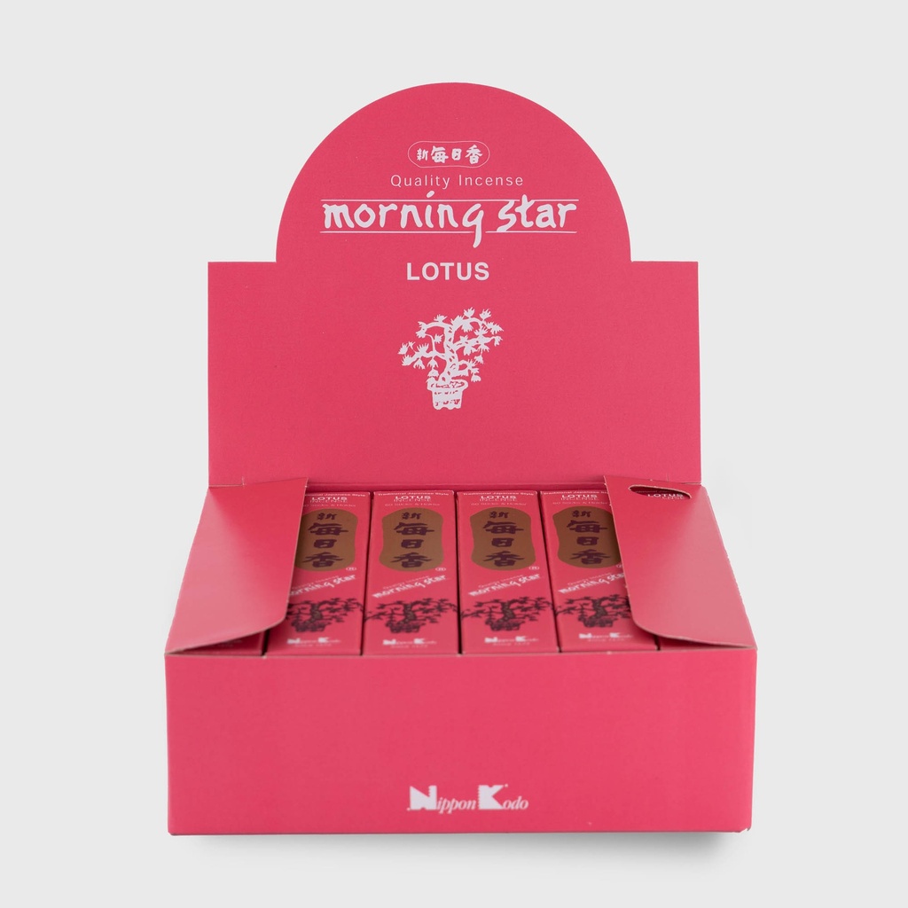 3045_4.jpg - [aa7e100c59e756a2a5d13f60fdb97da4450b7031]