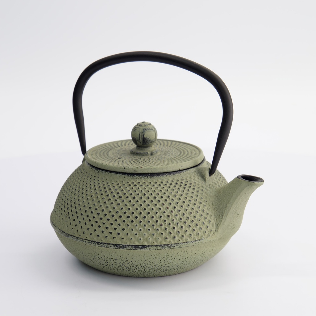 WY Tea Kettle Iron 17.5x15x10cm Arare 0.8L GREEN/GREY 1/8