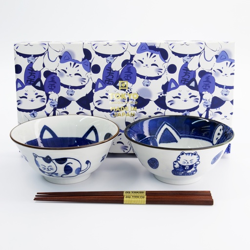 [33692] Kawaii Cat Tayo Bowl Giftset 2pcs w/chopsticks 14.9x6.7cm 500ml A 33692 1/16