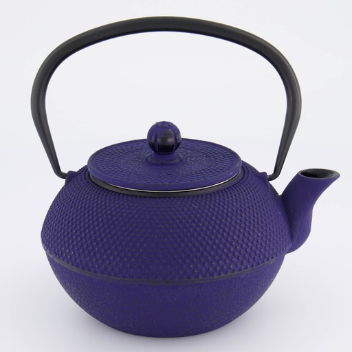 [34031] WY Tea Kettle Iron Arare 1.2L BLUE 1/8 